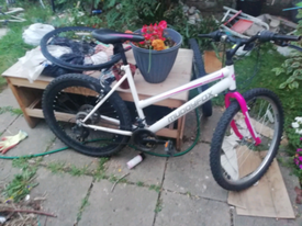 muddyfox sportz bike